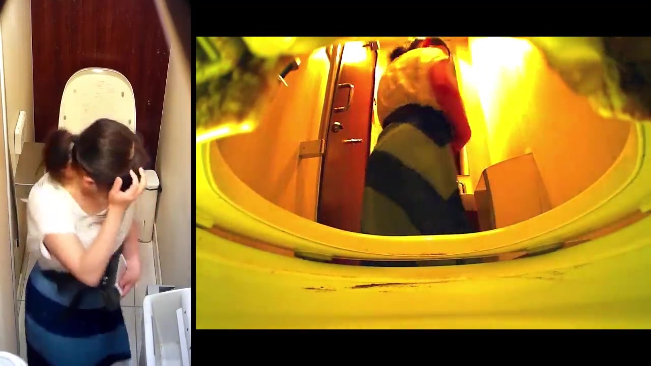 Japanese toilet Hidden image